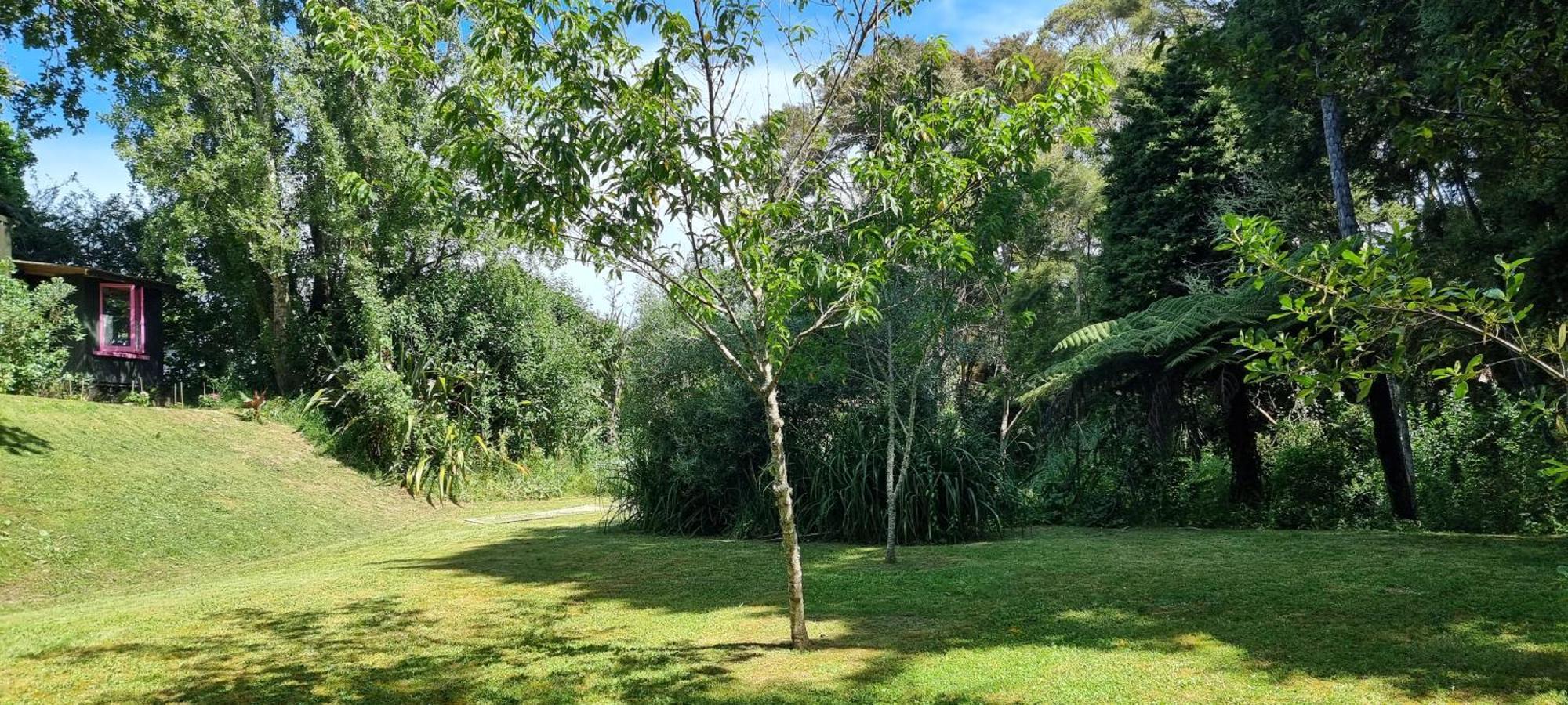 Pheasant Lodge Paparoa Екстер'єр фото